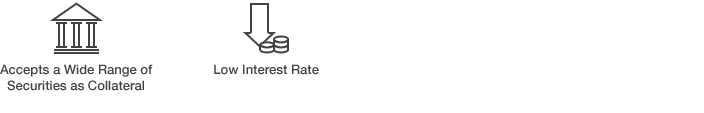 Accepts a Wide Range of Securities as Collateral, Low Interest Rate